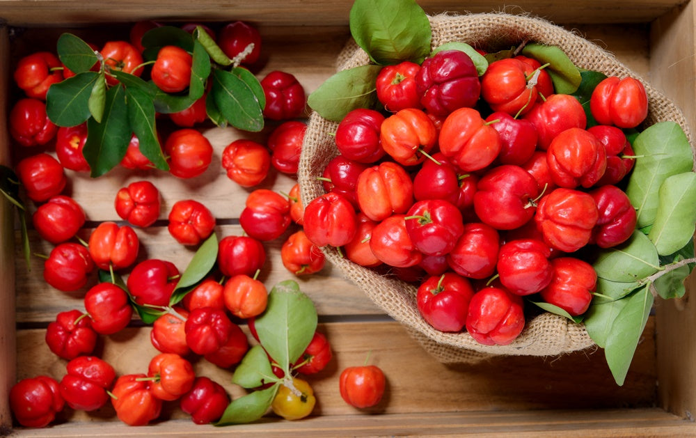 Acerola jam